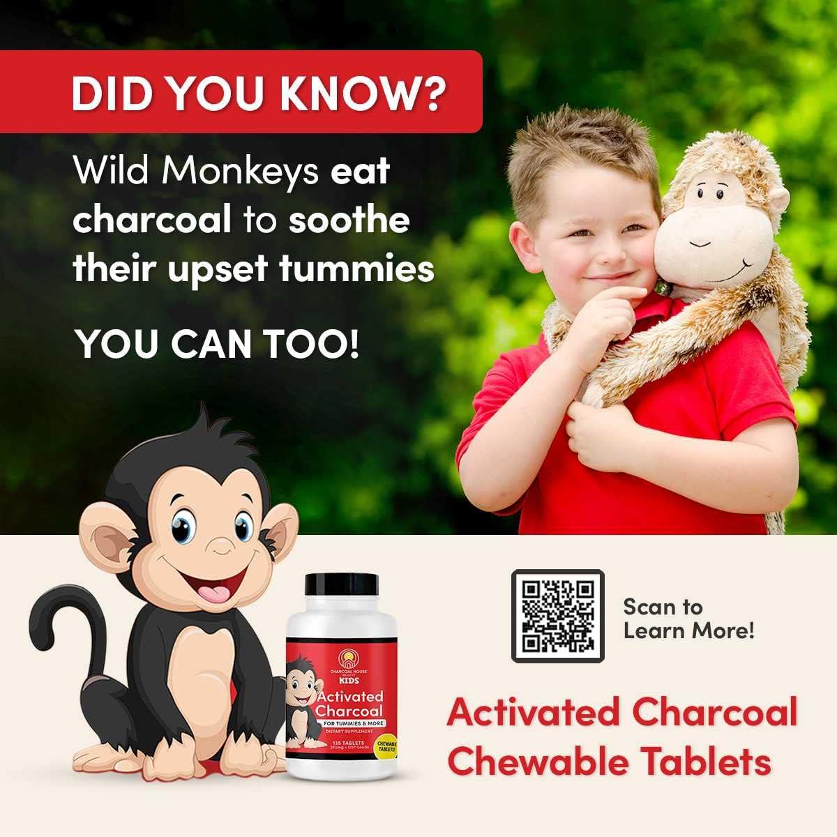 Kid-Friendly Chewable Activated Charcoal Tablets | Natural, Vegan, Non-GMO | Teeth, Stomach, Gas Relief | USP Food Grade | 135 ct.