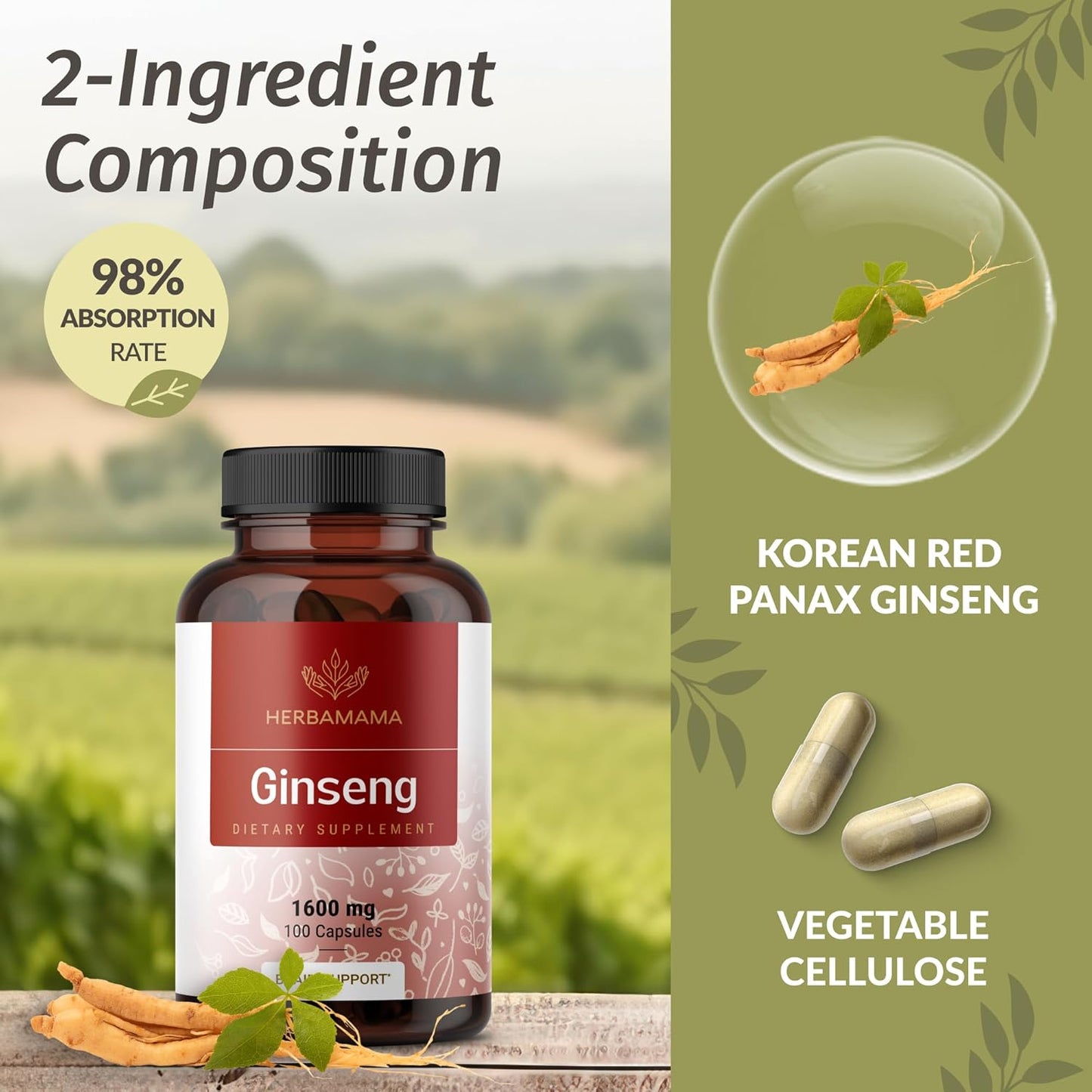 Korean Red Ginseng and Turmeric Ginger Bundle - Panax Ginseng Capsules & Turmeric Ginger Drops - Vegan, Non-GMO, Sugar & Alcohol-Free - 2 Pack