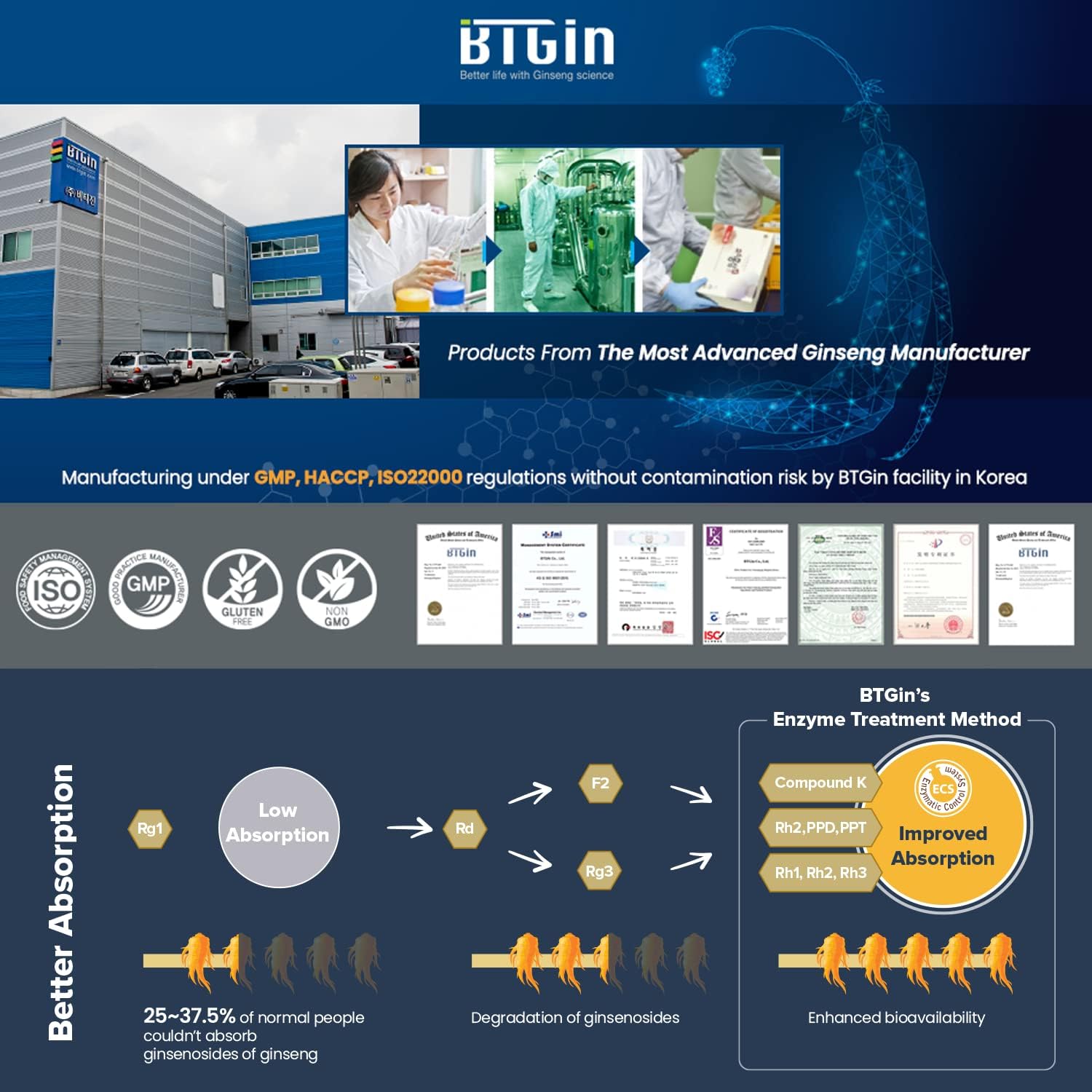 Korean Red Ginseng Extract Bundle - 3000mg Saponin Hanppuri + The Root Original Capsules - Immune Support, Stress Relief, Focus & Mental Clarity - Ginsenoside Rg3 - Natural Energy Supplements