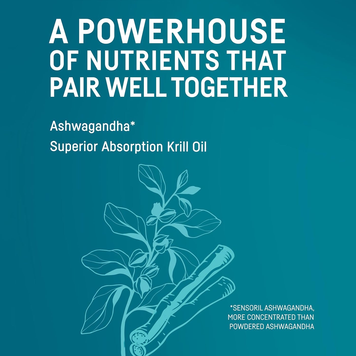Kori Krill Kori Stress & Body Adaptogen Supplement with Krill Oil & Ashwagandha for Heart, Brain & Joint Health - Omega-3 Fatty Acids for Mood & Sleep Support - 80 Softgels