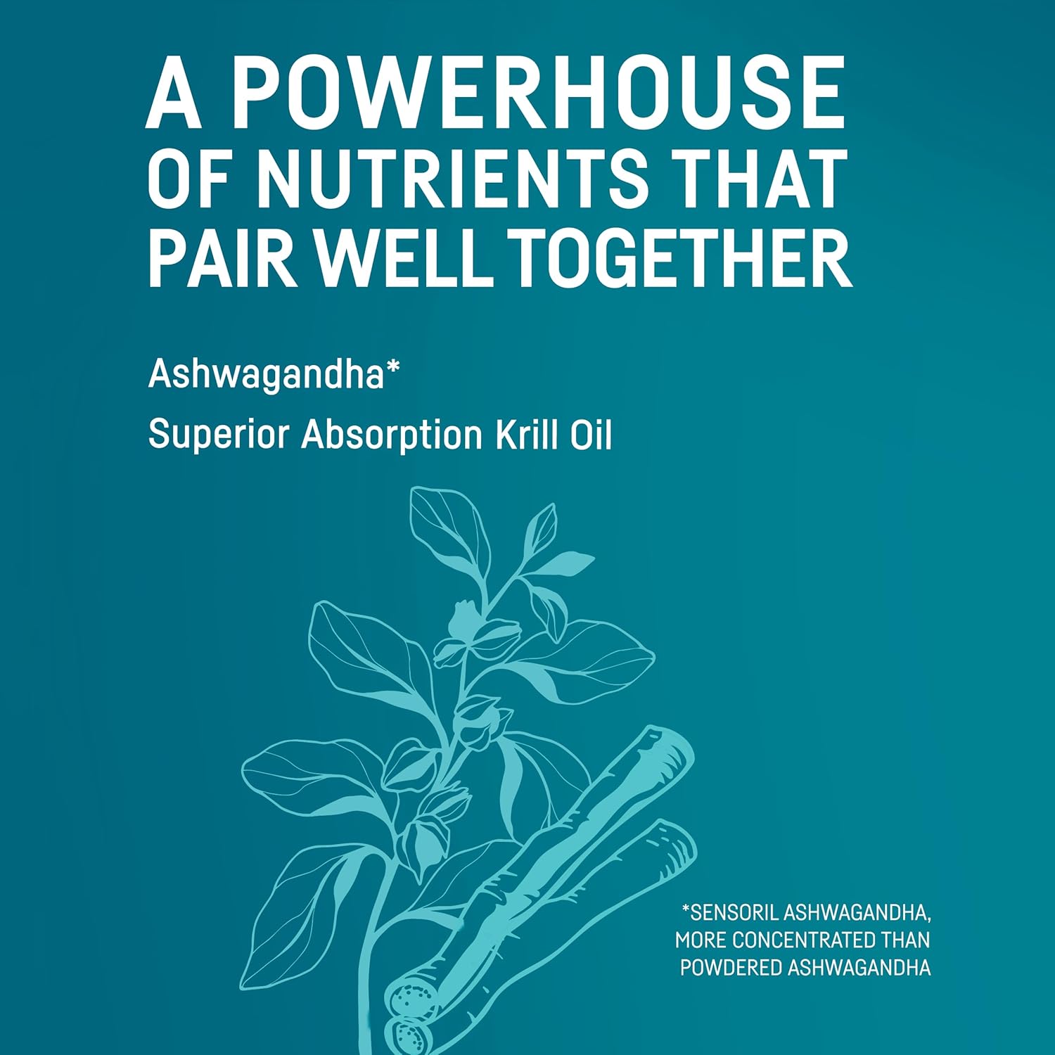 Kori Krill Kori Stress & Body Adaptogen Supplement with Krill Oil & Ashwagandha for Heart, Brain & Joint Health - Omega-3 Fatty Acids for Mood & Sleep Support - 80 Softgels
