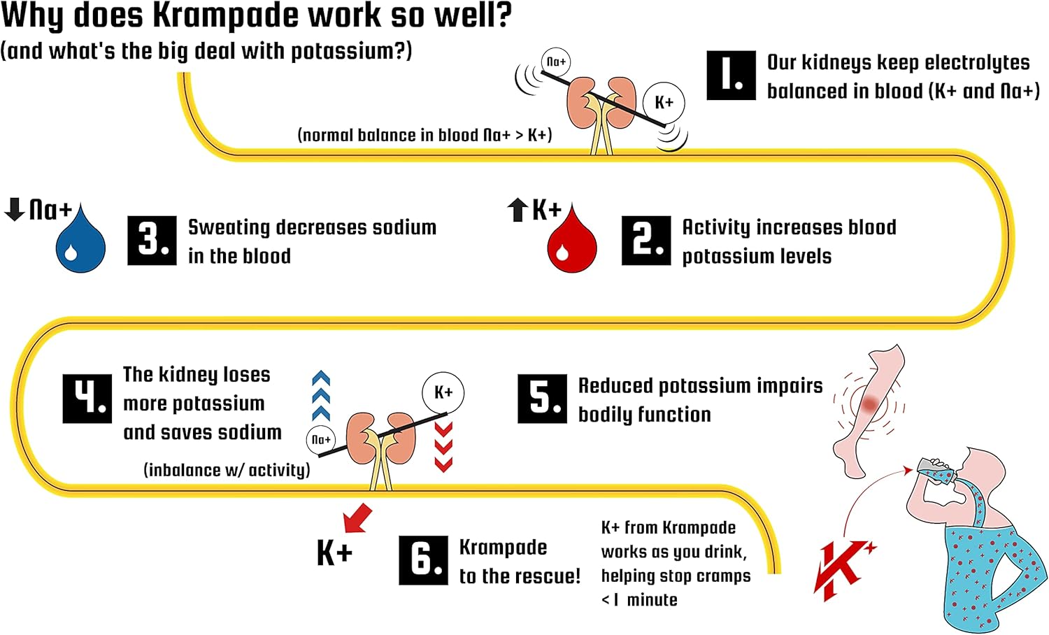 Krampade 2K Fruit Punch Single Serve Colorless Sports Drink with Potassium for Cramp Relief
