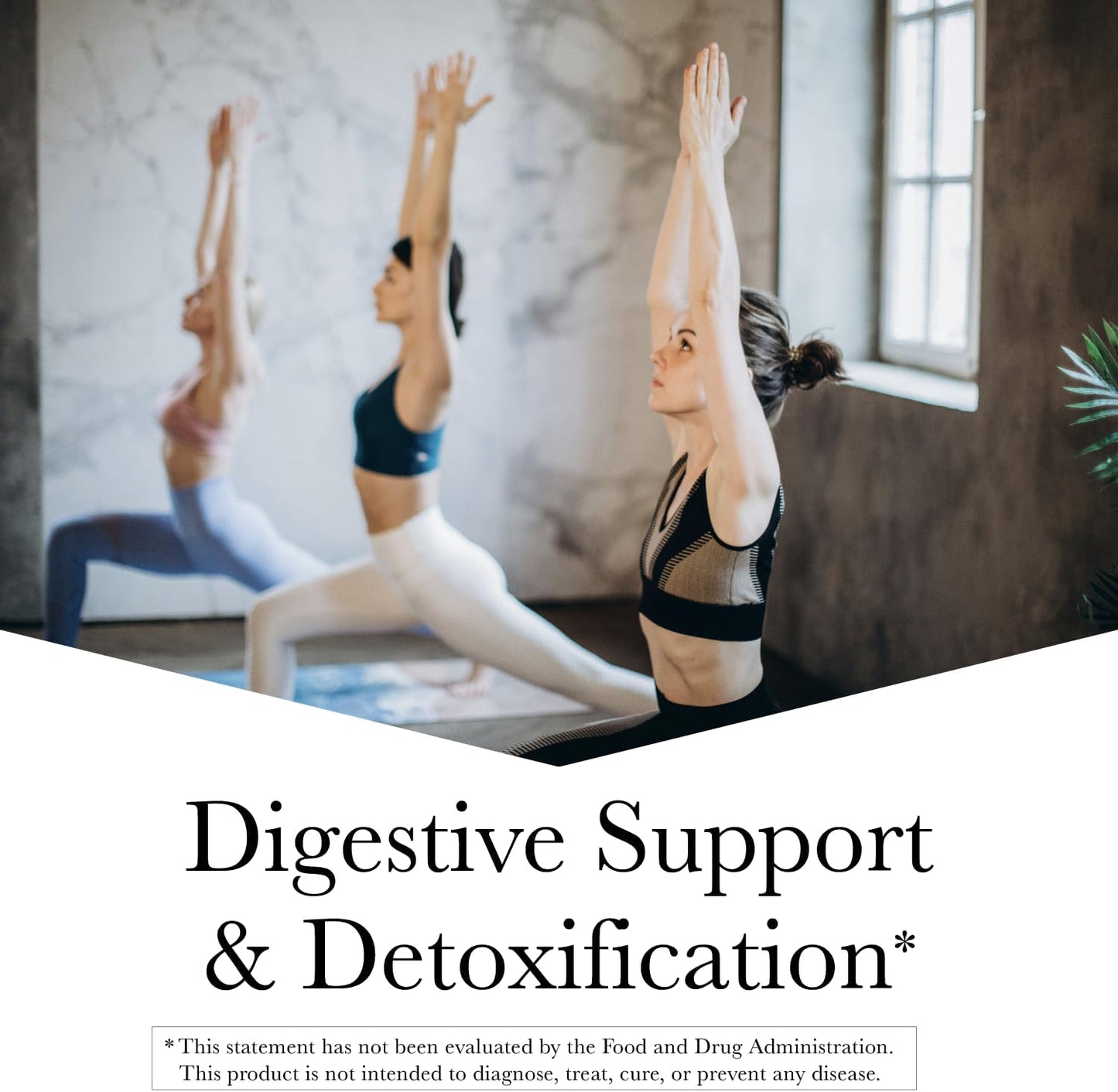 Kroeger Herb Wormwood Detox Cleanse Kit - Black Walnut, Clove, Quassia Capsules - Non-GMO, Gluten Free - USA Made