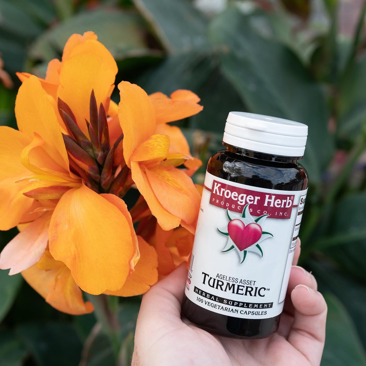 Kroeger Herbs Turmeric Joint Support Supplement - Vegetarian, Anti Inflammatory & Antioxidant Formula, Non-GMO, Made in USA