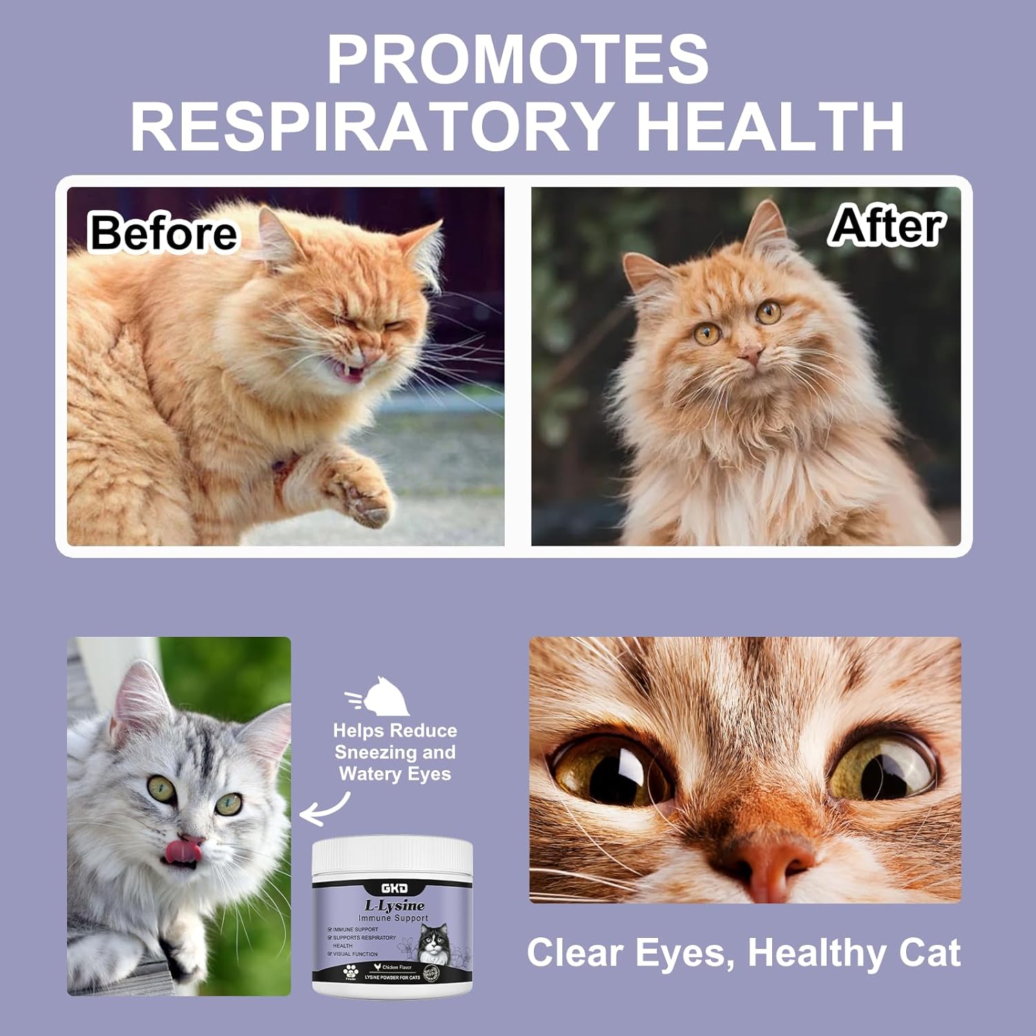 L-Lysine Powder for Cats - Immune and Eye Health Supplement, Reduces Eye Discharge, Alleviates Sneezing