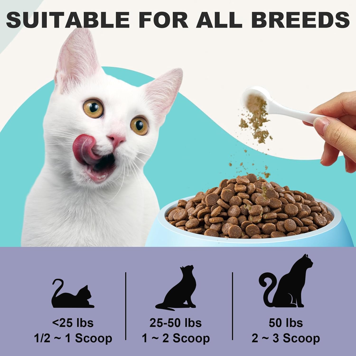 L-Lysine Powder for Cats - Immune and Eye Health Supplement, Reduces Eye Discharge, Alleviates Sneezing