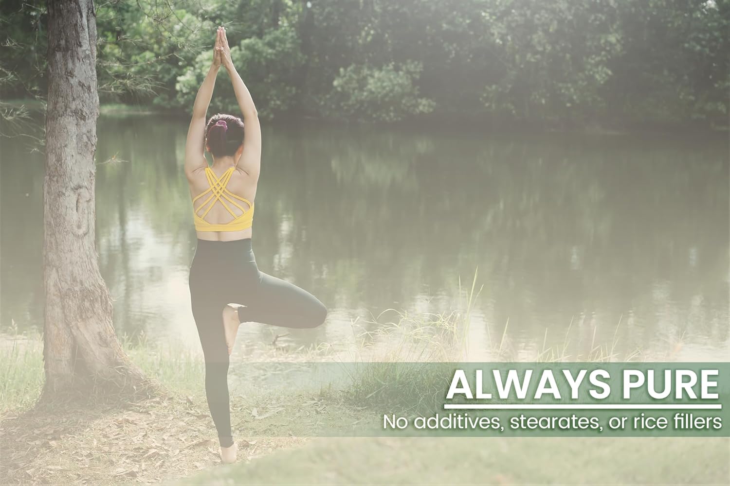 Lab Verified Kudzu Root Capsules - 100 Count, Pure Ingredients, No Additives or Fillers