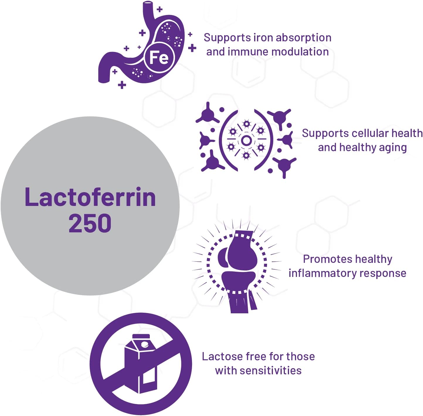 Lactose-Free Lactoferrin Supplement for Iron Absorption and Immune Support - 60 Capsules