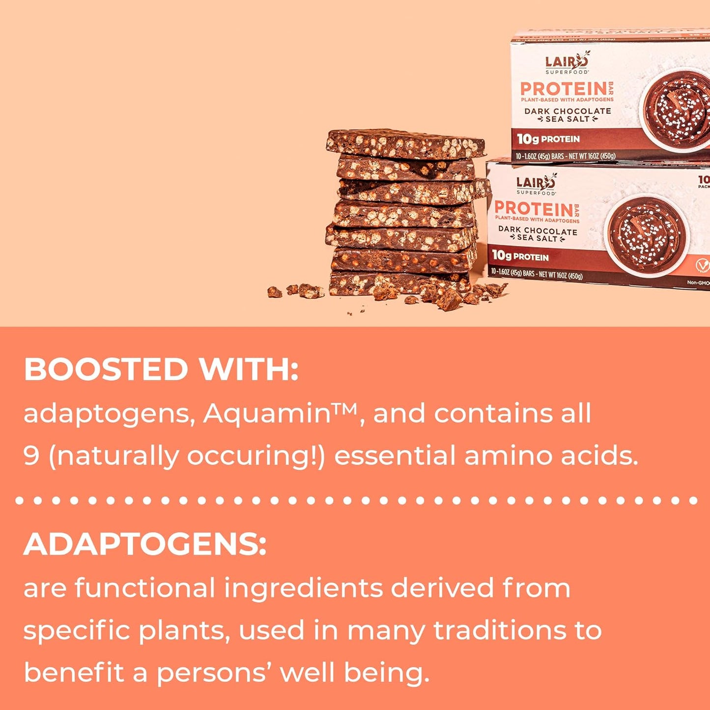Laird Superfood Dark Chocolate Sea Salt Protein Bars - Plant-Based, Functional Mushrooms, Real Ingredients - 10g Protein, 6g Fiber - Non-GMO - 10 Count Pack