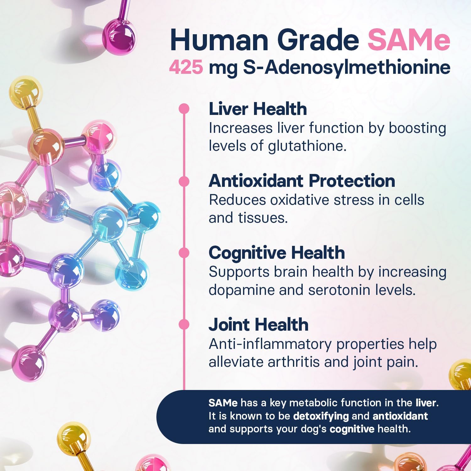 Large Dog Liver Health Supplement with Silymarin, S-Adenosylmethionine, and Silybin - 30 Tablets