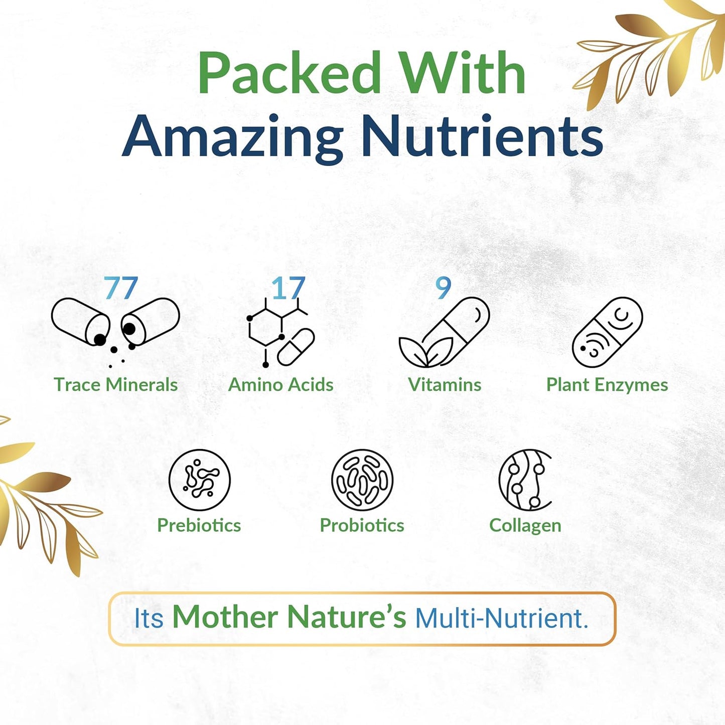 LEAFSOURCE Humic Fulvic Acid Capsules with 77 Trace Minerals, Electrolytes, and Vitamins for Improved Energy, Gut and Joint Health, Hydration, and Nutrient Absorption