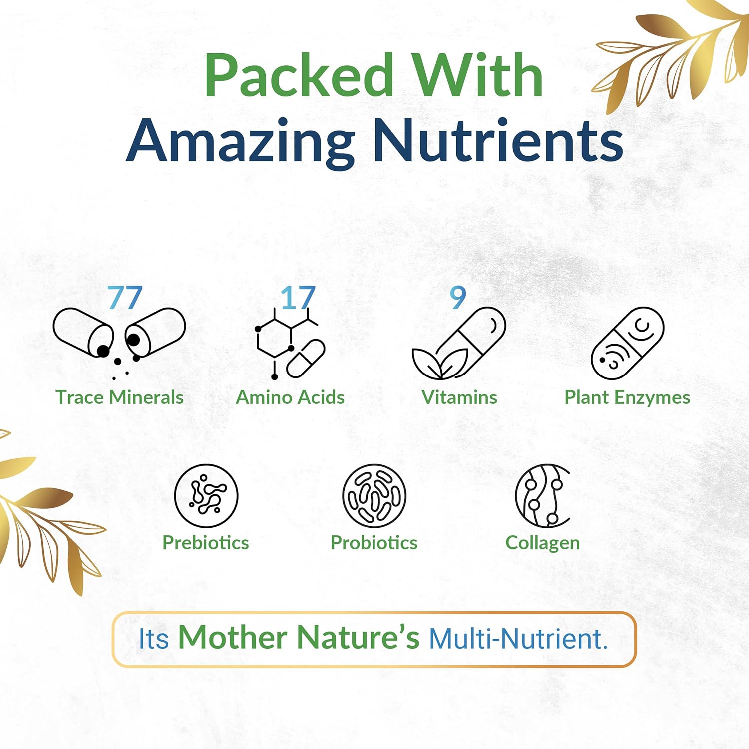 LEAFSOURCE Humic Fulvic Acid Capsules with 77 Trace Minerals, Electrolytes, and Vitamins for Improved Energy, Gut and Joint Health, Hydration, and Nutrient Absorption