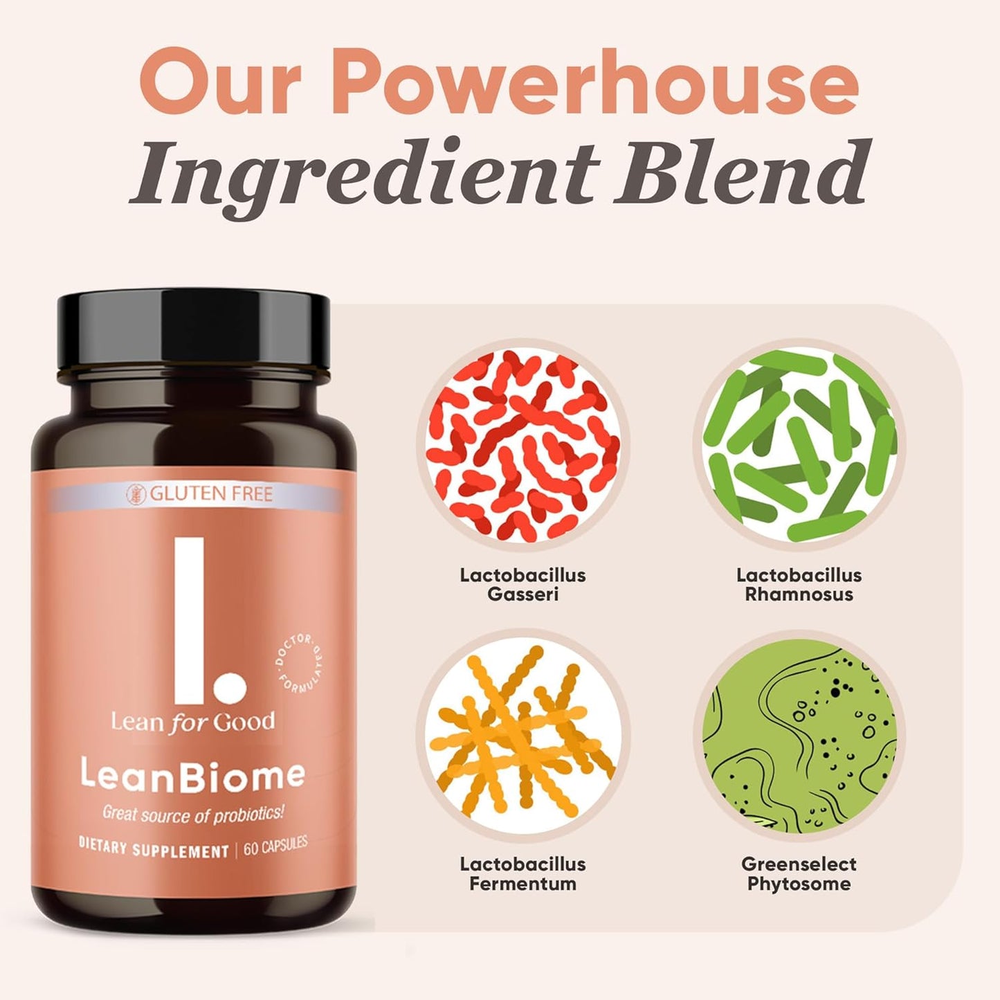 LEANFORGOOD LeanBiome Probiotic Formula with 9 Strains for a Healthy Gut Microbiome - 180 Capsules