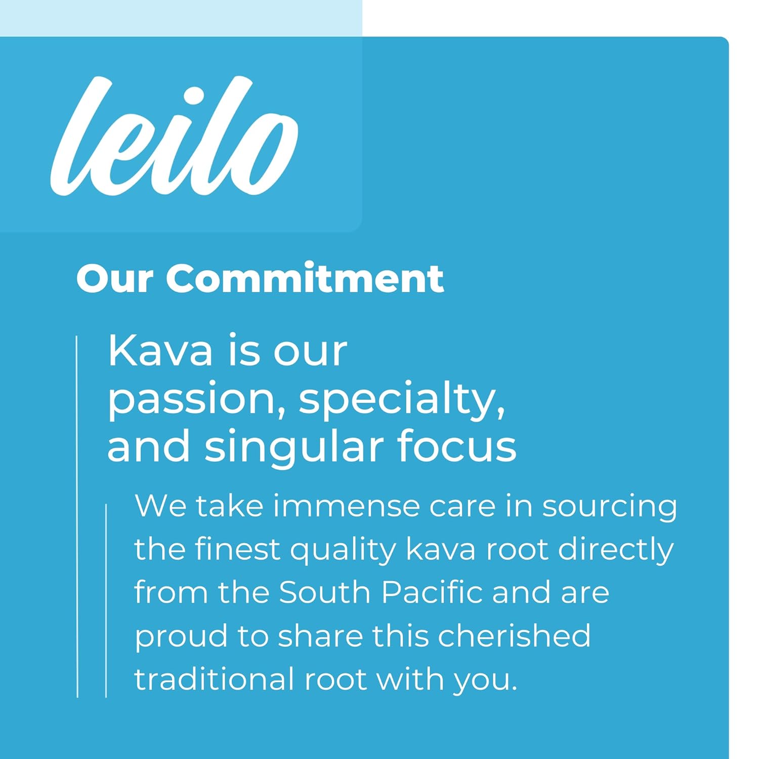 LEILO Berry Flavored Kava Drink Mix for Relaxation | Non-Alcoholic Adaptogen Mocktail Powder | 10 Servings