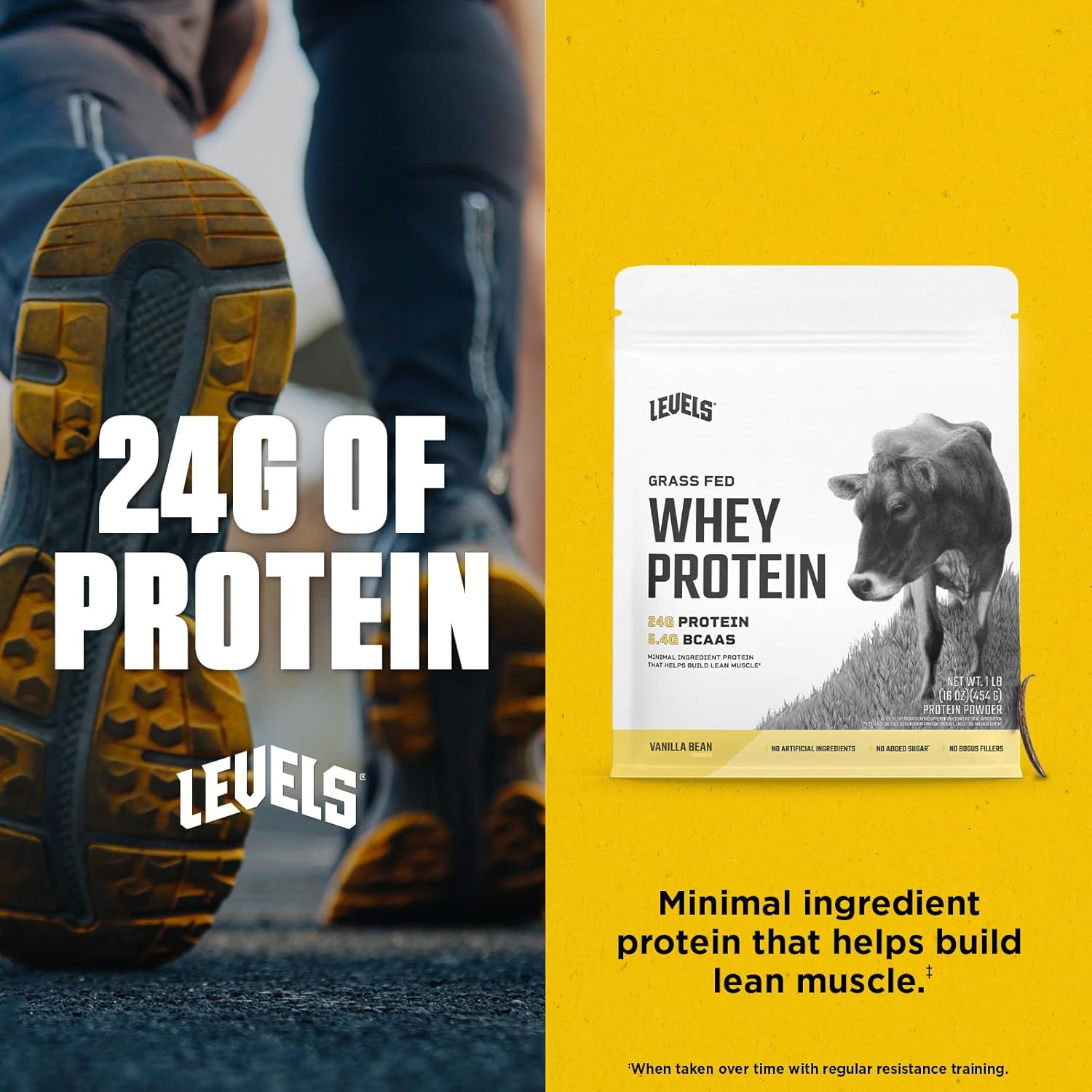 Levels Grass Fed Whey Protein Powder - 24G Protein, Vanilla Bean Flavor, 1LB - No Artificial Ingredients