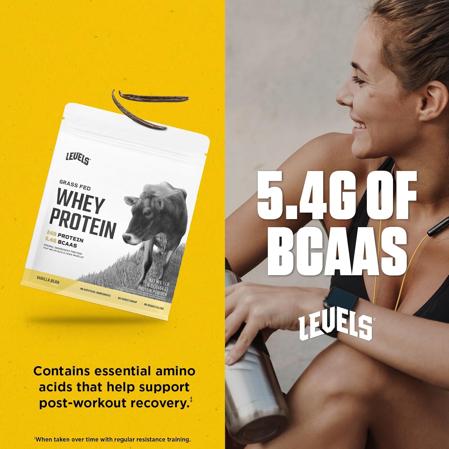 Levels Grass Fed Whey Protein Powder - 24G Protein, Vanilla Bean Flavor, 1LB - No Artificial Ingredients