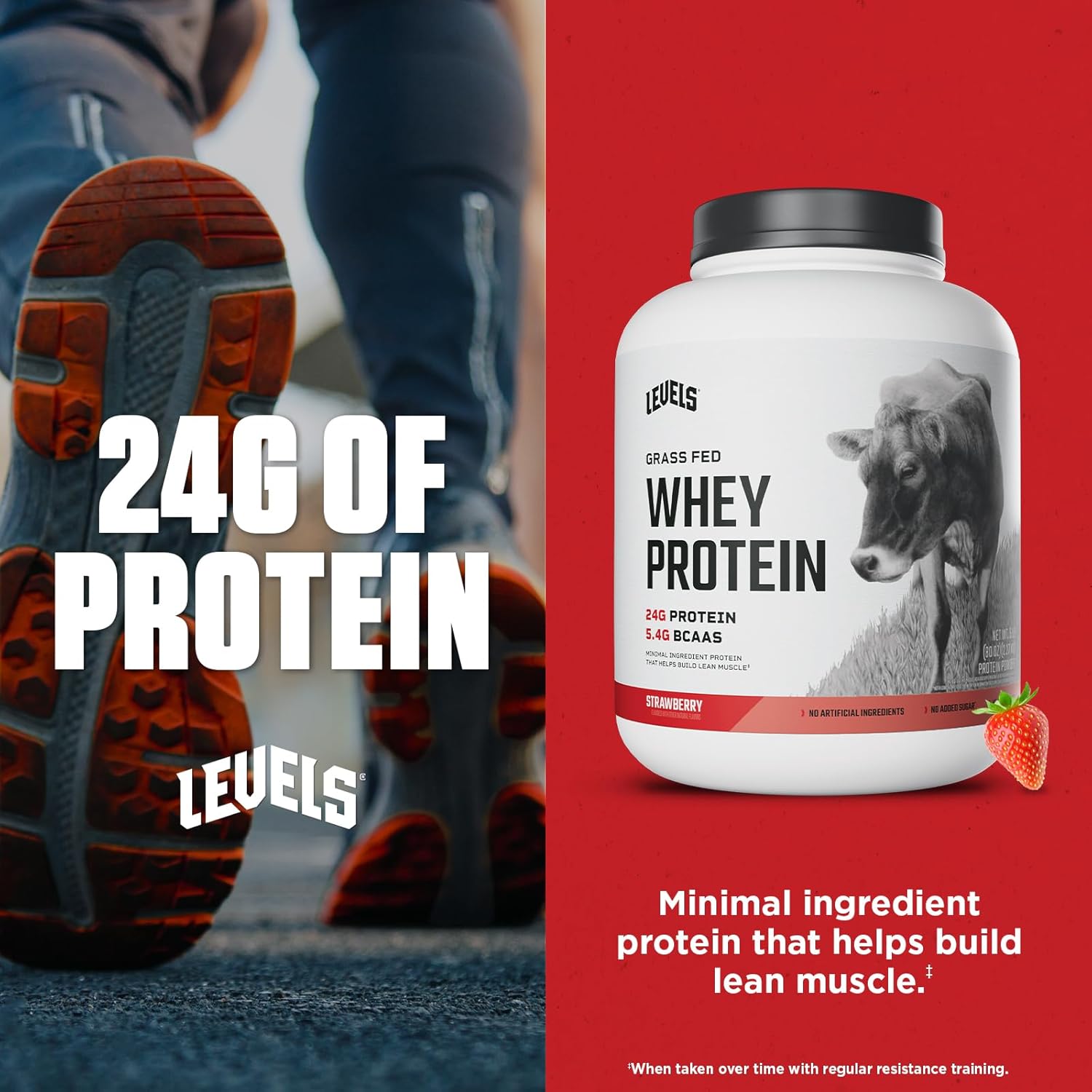 Levels Grass Fed Whey Protein Powder - Strawberry Flavor, 24G Protein, No Artificial Ingredients - 5LB Pack