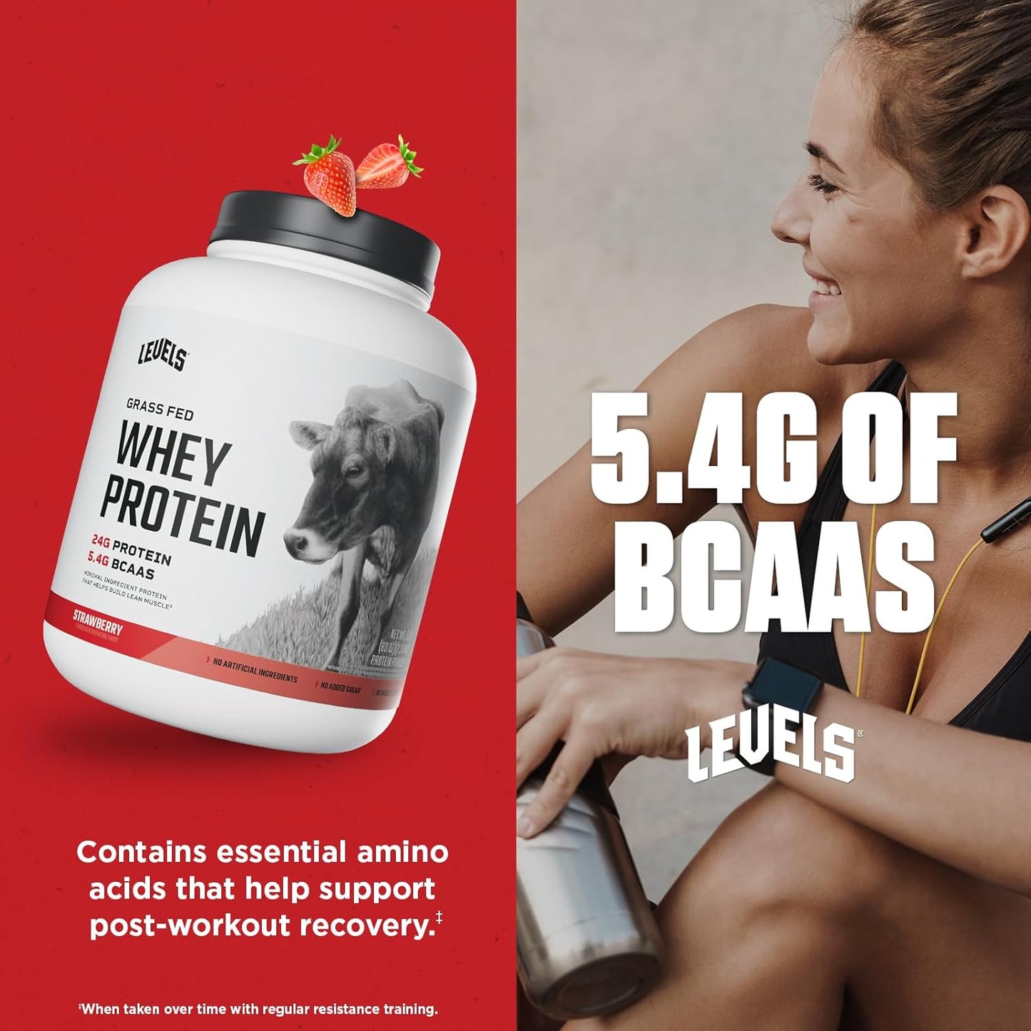Levels Grass Fed Whey Protein Powder - Strawberry Flavor, 24G Protein, No Artificial Ingredients - 5LB Pack