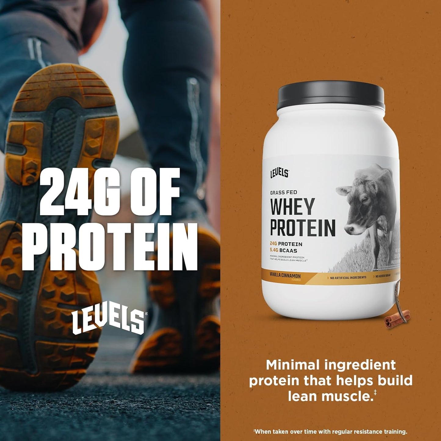 Levels Grass Fed Whey Protein Powder - Vanilla Cinnamon Flavor, 24G Protein, 2LB - No Artificial Ingredients