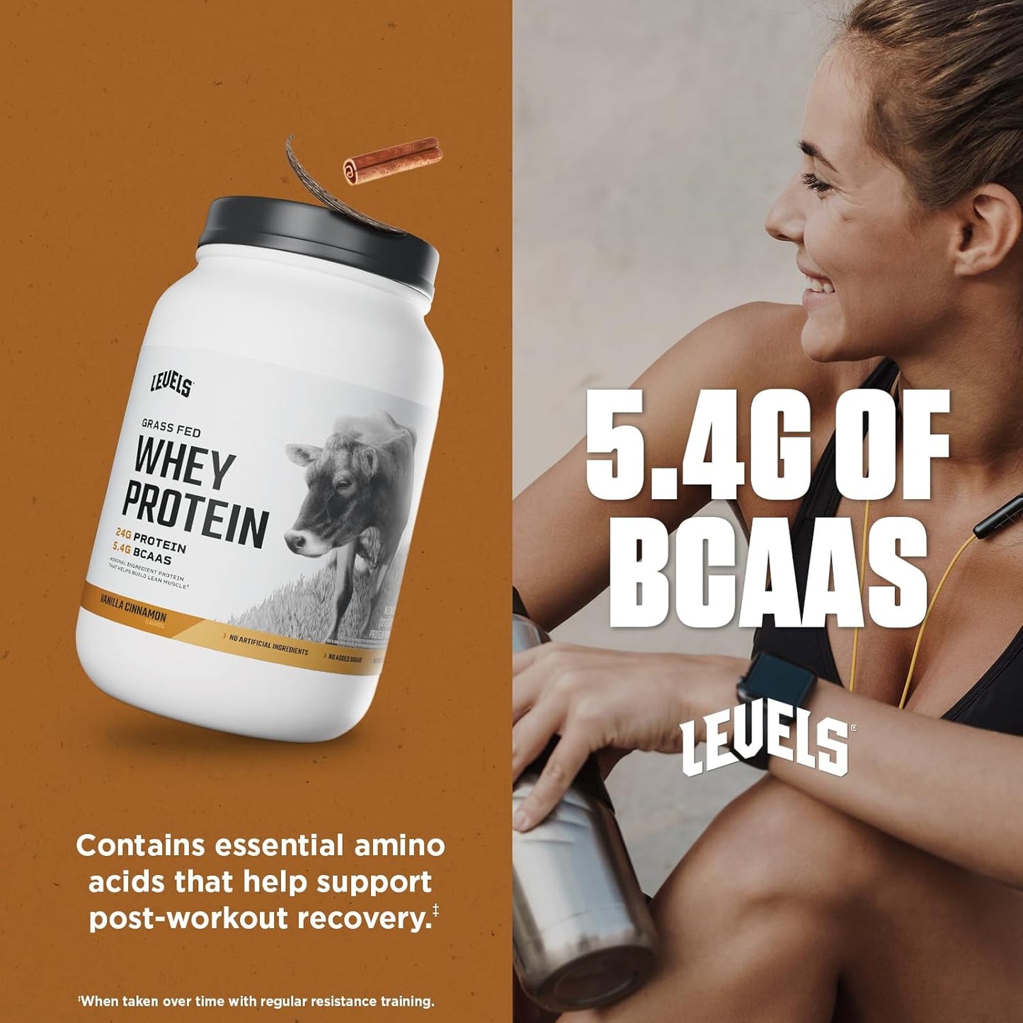 Levels Grass Fed Whey Protein Powder - Vanilla Cinnamon Flavor, 24G Protein, 2LB - No Artificial Ingredients