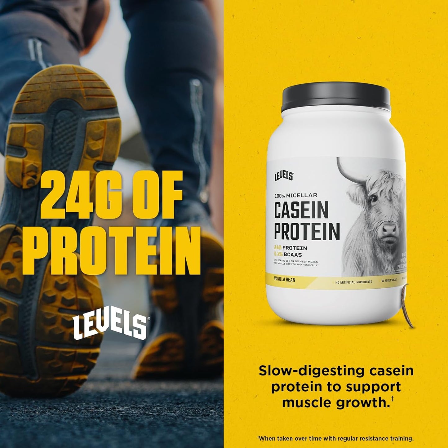 Levels Nutrition 100% Micellar Casein Protein Powder - Vanilla Bean Flavor, 2LB - Hormone Free Formula
