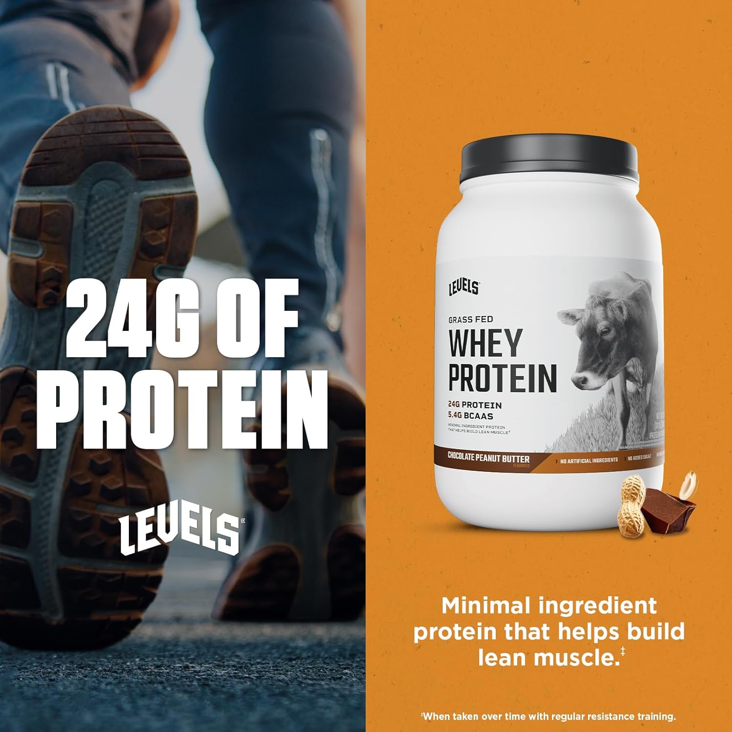 Levels Nutrition Grass Fed Whey Protein Powder - Chocolate Peanut Butter Flavor, 24g Protein, No Artificial Ingredients - 2LB Pack