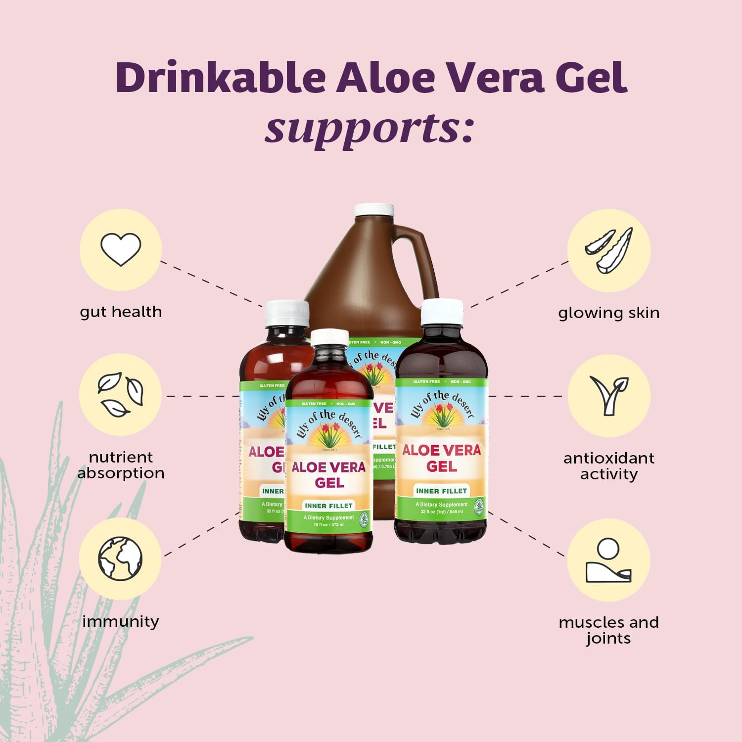 Lily of The Desert Aloe Vera Gel Drink 128 Fl Oz - Thick Inner Fillet, Natural Vitamins, Digestive Enzymes for Gut Health, Skin Glow