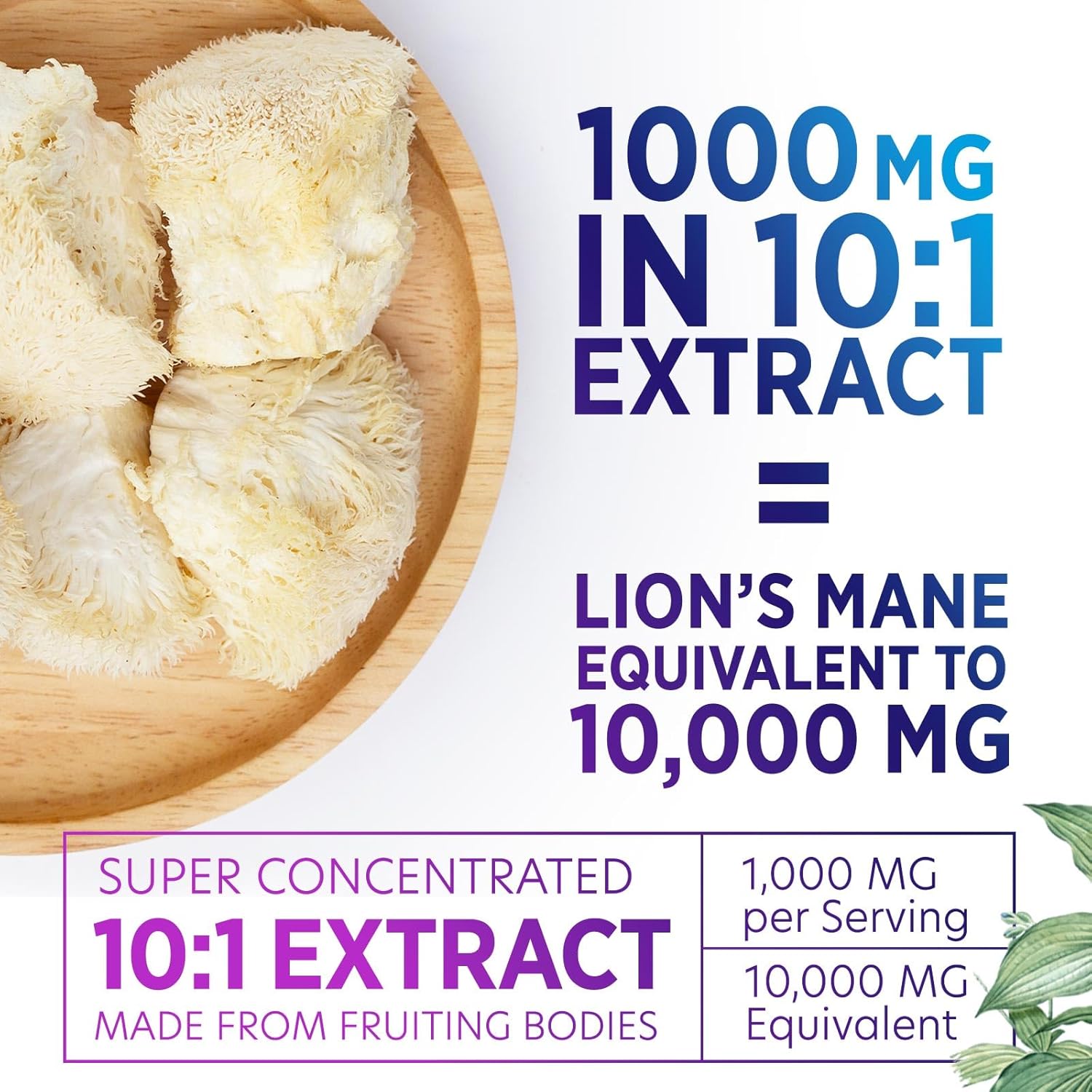 Lion's Mane Mushroom Supplement for Brain Support - Focus, Memory, Cognition & Immune Boost - Nootropic Extract - 120 Capsules