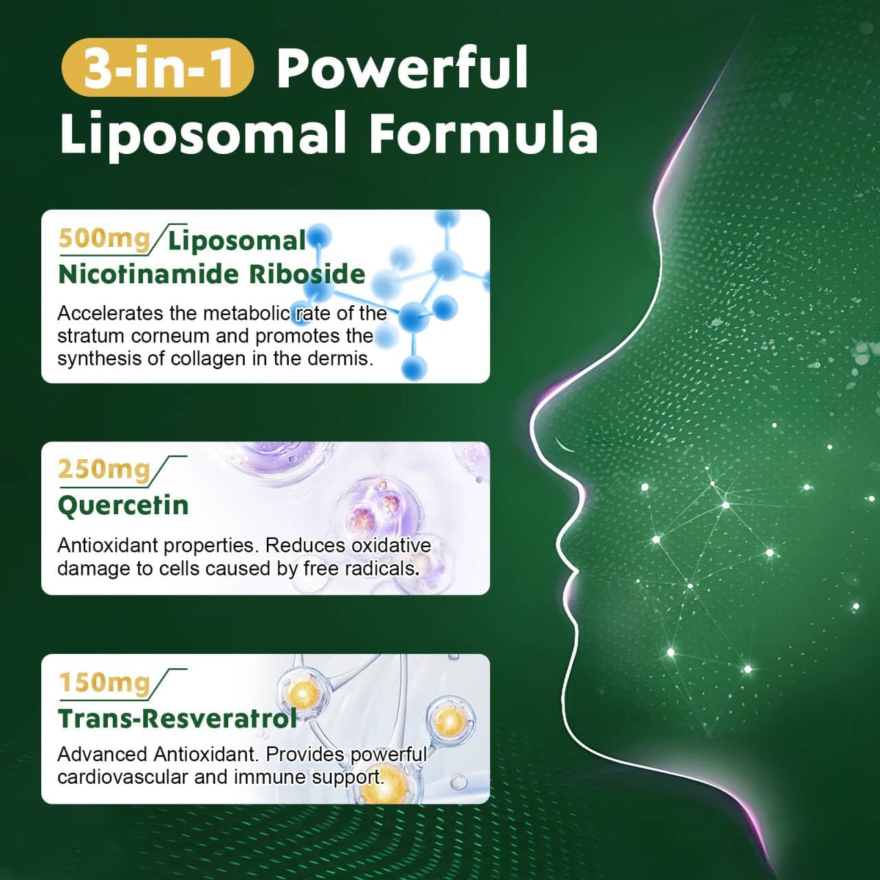 Liposomal Nicotinamide Riboside with Resveratrol & Quercetin - Anti-Aging & Energy Supplement - 80 Capsules