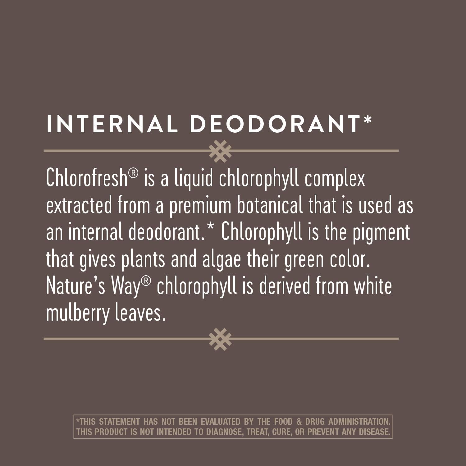 Liquid Chlorophyll Drops by Nature's Way, 2 Fl. Oz., Mint Flavored, Internal Deodorant, Supports Detox, Chlorofresh Concentrate