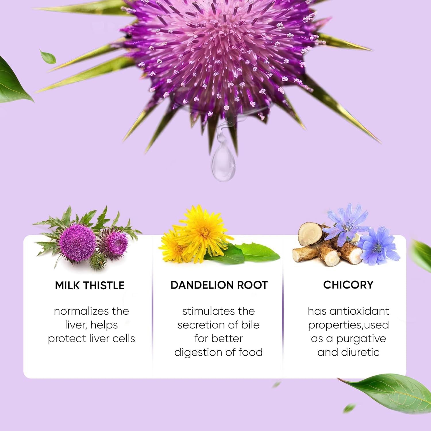 Liquid Liver Support Drops with Milk Thistle, Dandelion Root, Turmeric, & More - Liver Cleanse & Detox Supplement by Herbana Manufacturing
