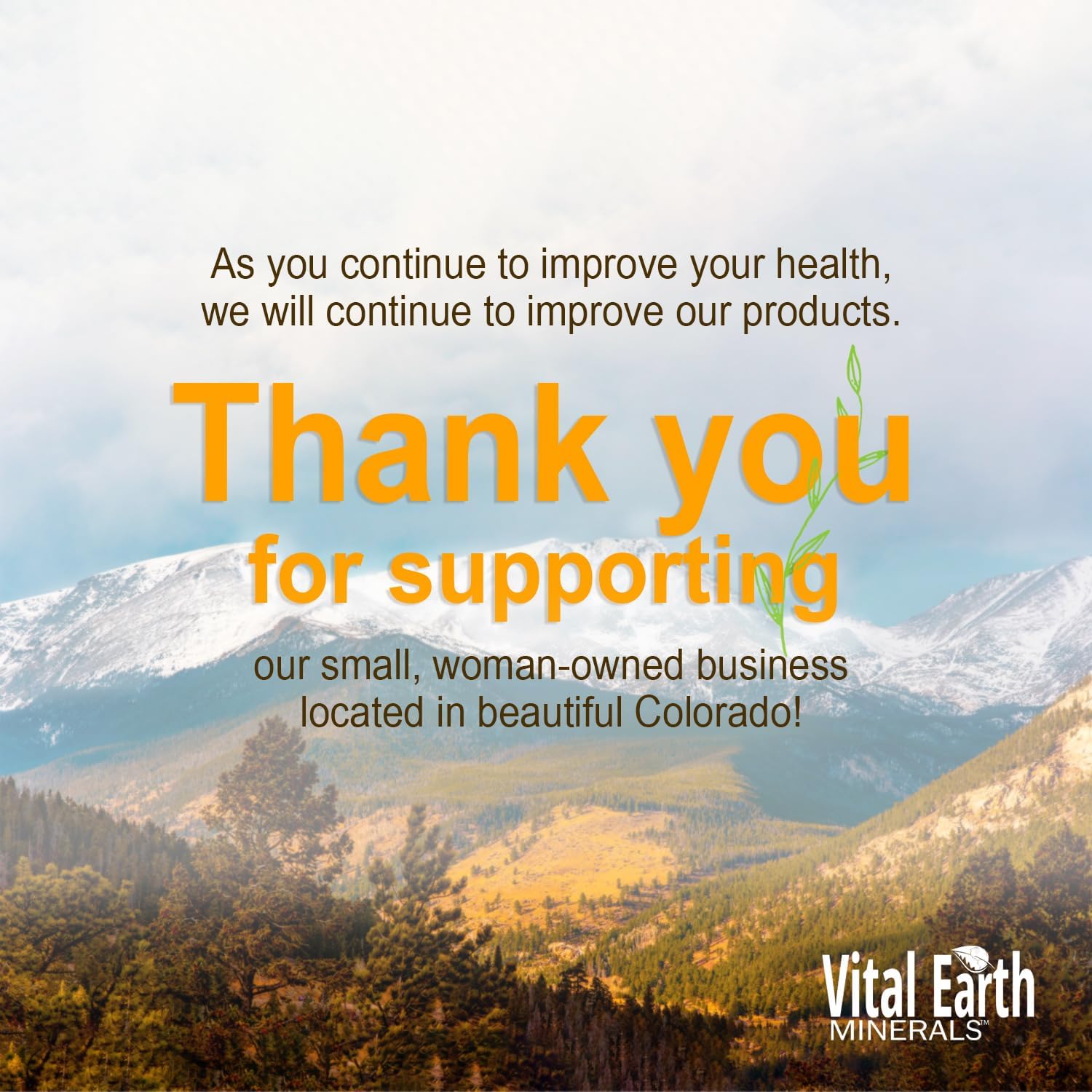 Liquid Mineral Pump for 32-Ounce Vitamin & Fulvic Mineral Supplement Bottles by Vital Earth Minerals