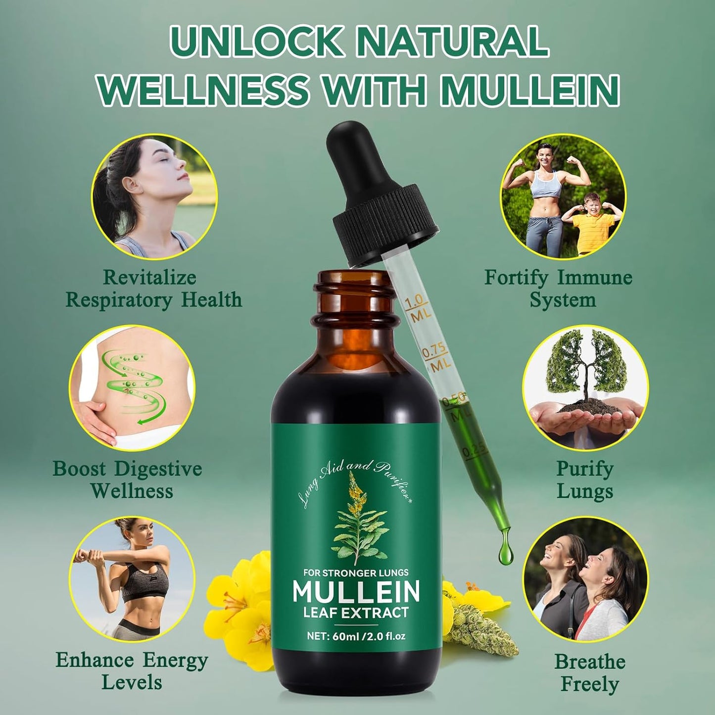 Liquid Mullein Lung Cleanse Drops - 2 Fl Oz Natural Extract Supplement - Fast Absorption, 1 Month Supply - Respiratory Support