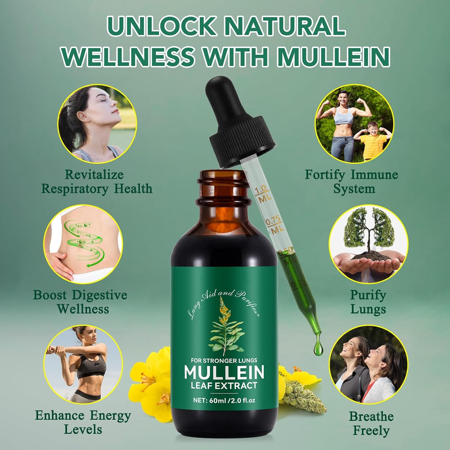 Liquid Mullein Lung Cleanse Drops - 2 Fl Oz Natural Extract Supplement - Fast Absorption, 1 Month Supply - Respiratory Support