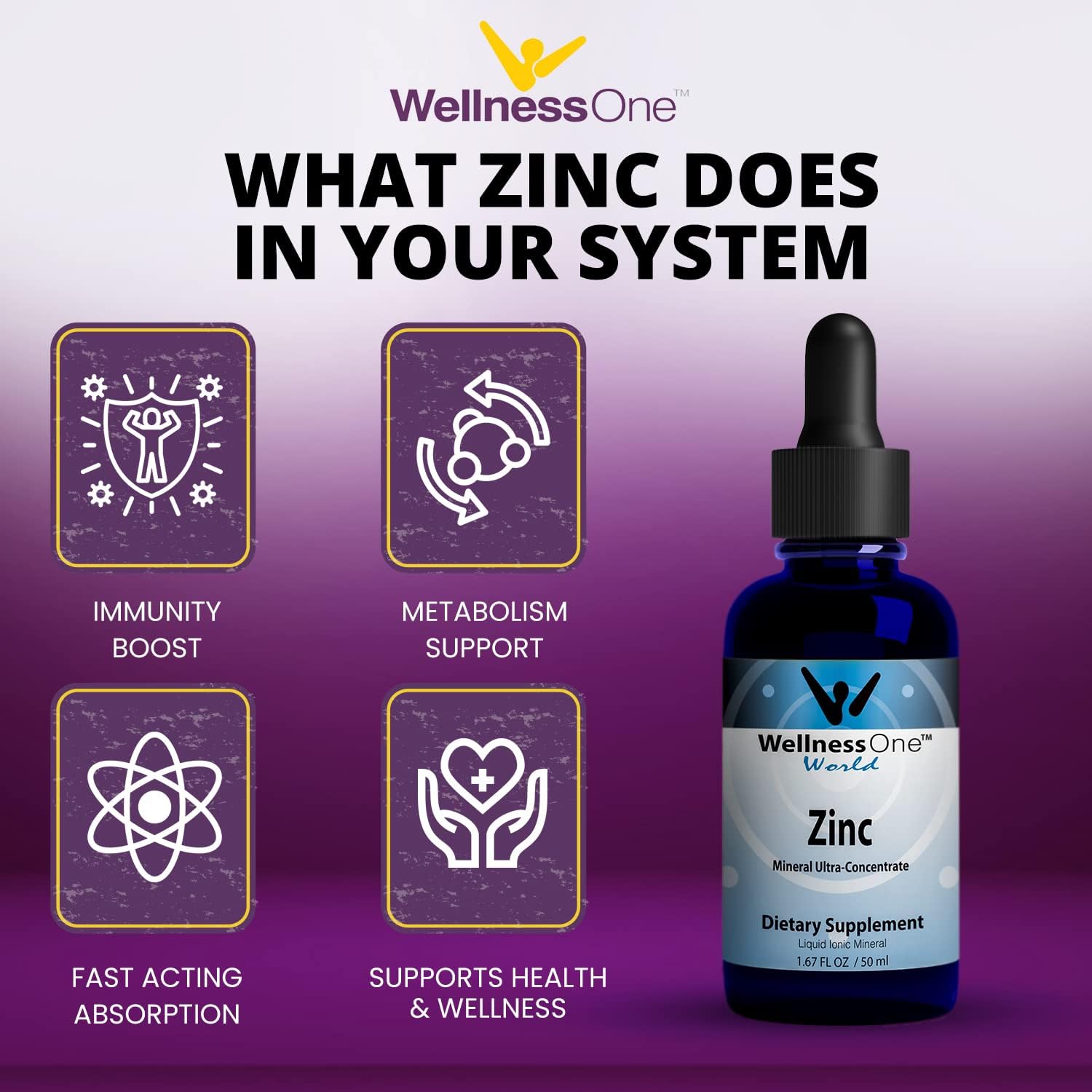 Liquid Zinc & Adult Multivitamin Gummy Bundle - Energy, Immune Support, Skin & Brain Health - 1.67 fl oz Zinc Drops & 60 Berry Flavored Gummies