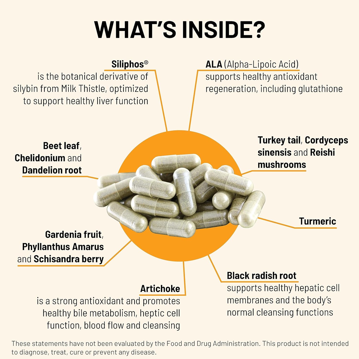 Liver C - Herbal Supplement for Liver Health & Energy Production - Siliphos® & Mushroom Blend - 90 Capsules