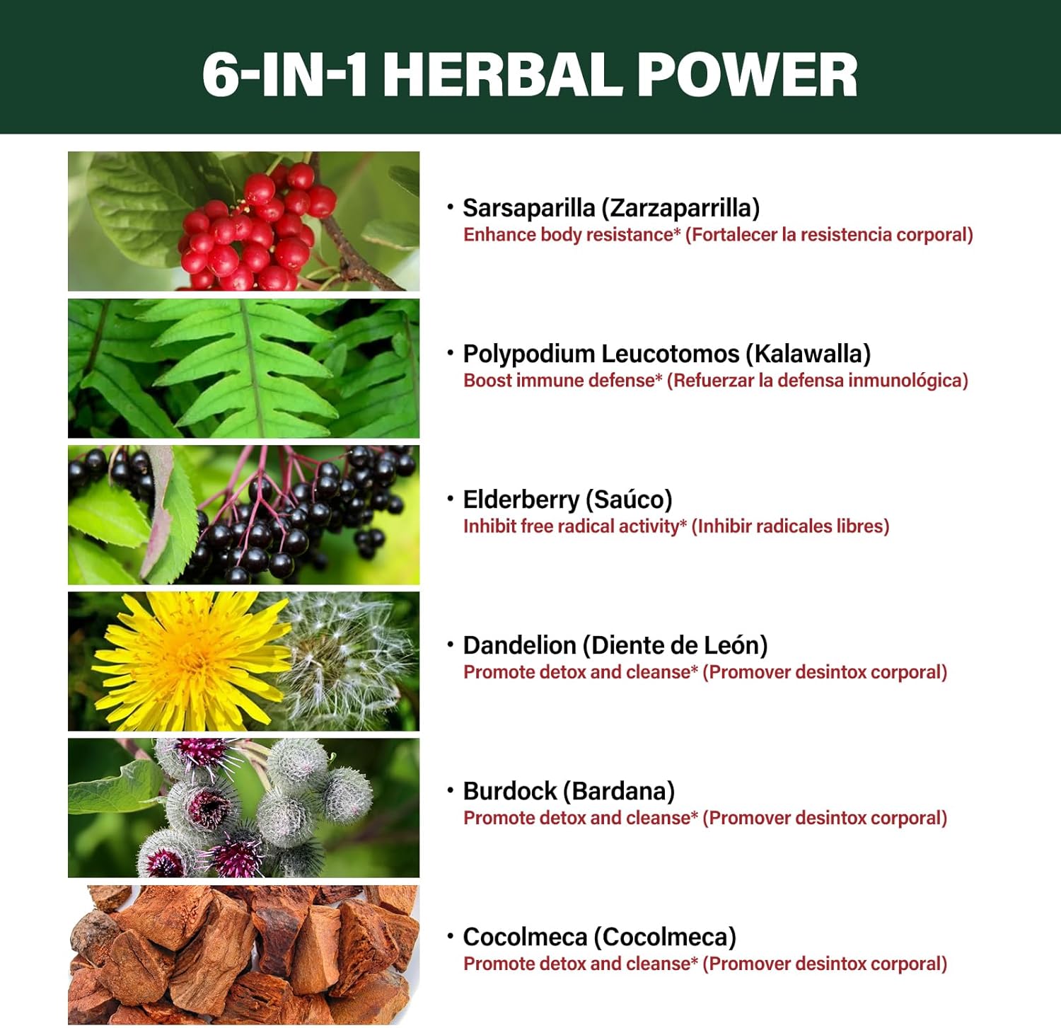 Liver Cleanse Detox Drops with Sarsaparilla Root, Dandelion, Cocolmeca, Polypodium Leucotomos - Immune Support & Colon Cleanse - 2oz