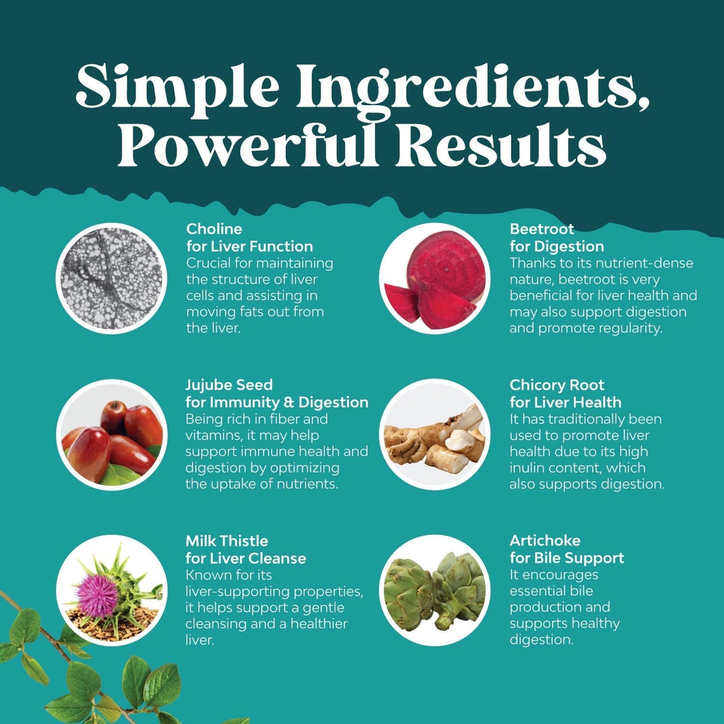 Liver Cleanse Detox & Repair Bundle with Milk Thistle, Dandelion, Turmeric - TUDCA Liver Support Supplement 500mg Bile Salts - Natures Craft Formula