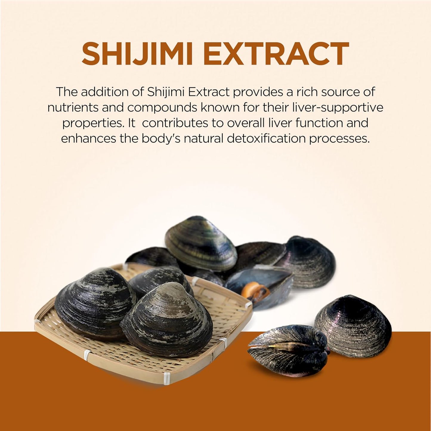 Liver Cleanse Detox & Repair Supplement for Men & Women - Supports Liver Health, Detoxification, and Fatty Liver Reversal - 4 Pack Liver Repair Drink by FINE JAPAN