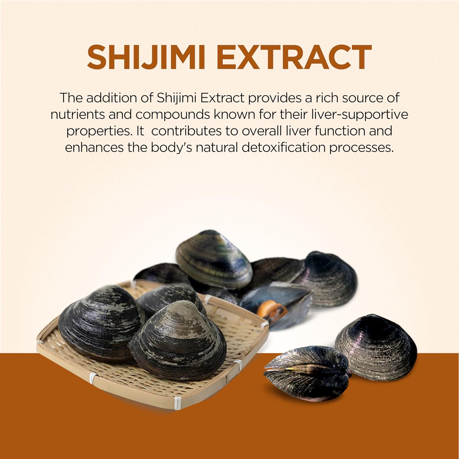 Liver Cleanse Detox & Repair Supplement for Men & Women - Supports Liver Health, Detoxification, and Fatty Liver Reversal - 4 Pack Liver Repair Drink by FINE JAPAN