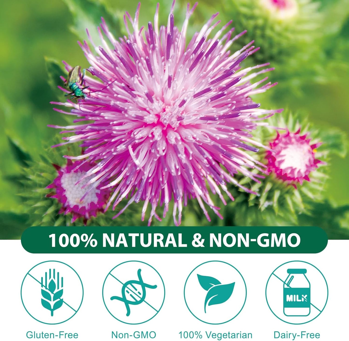 Liver Cleanse Detox & Repair Supplement with Milk Thistle, Burdock, Turmeric, Dandelion - 60 Vegan Caps