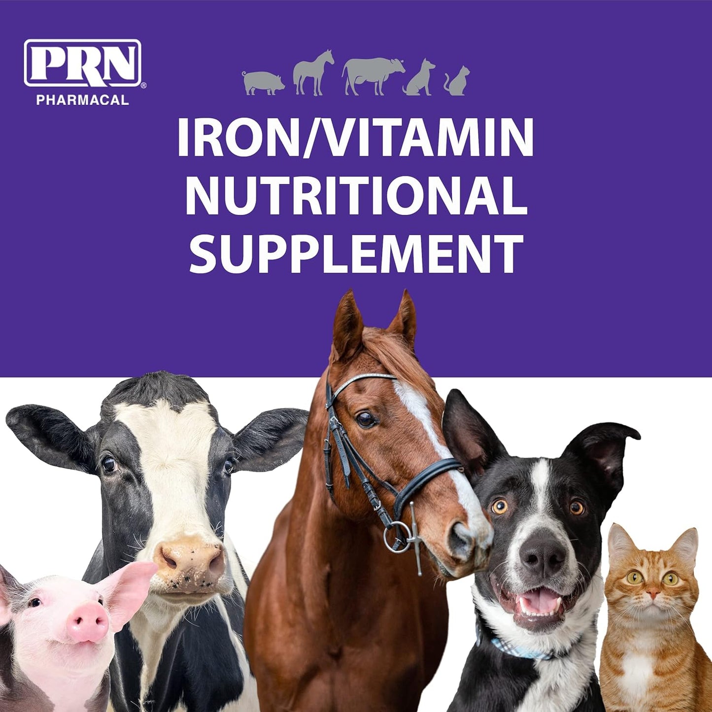 Liver-Flavored Pet Nutritional Supplement with Iron & B-Complex Vitamins - 2 fl oz (3 Pack) by PRN Pharmacal
