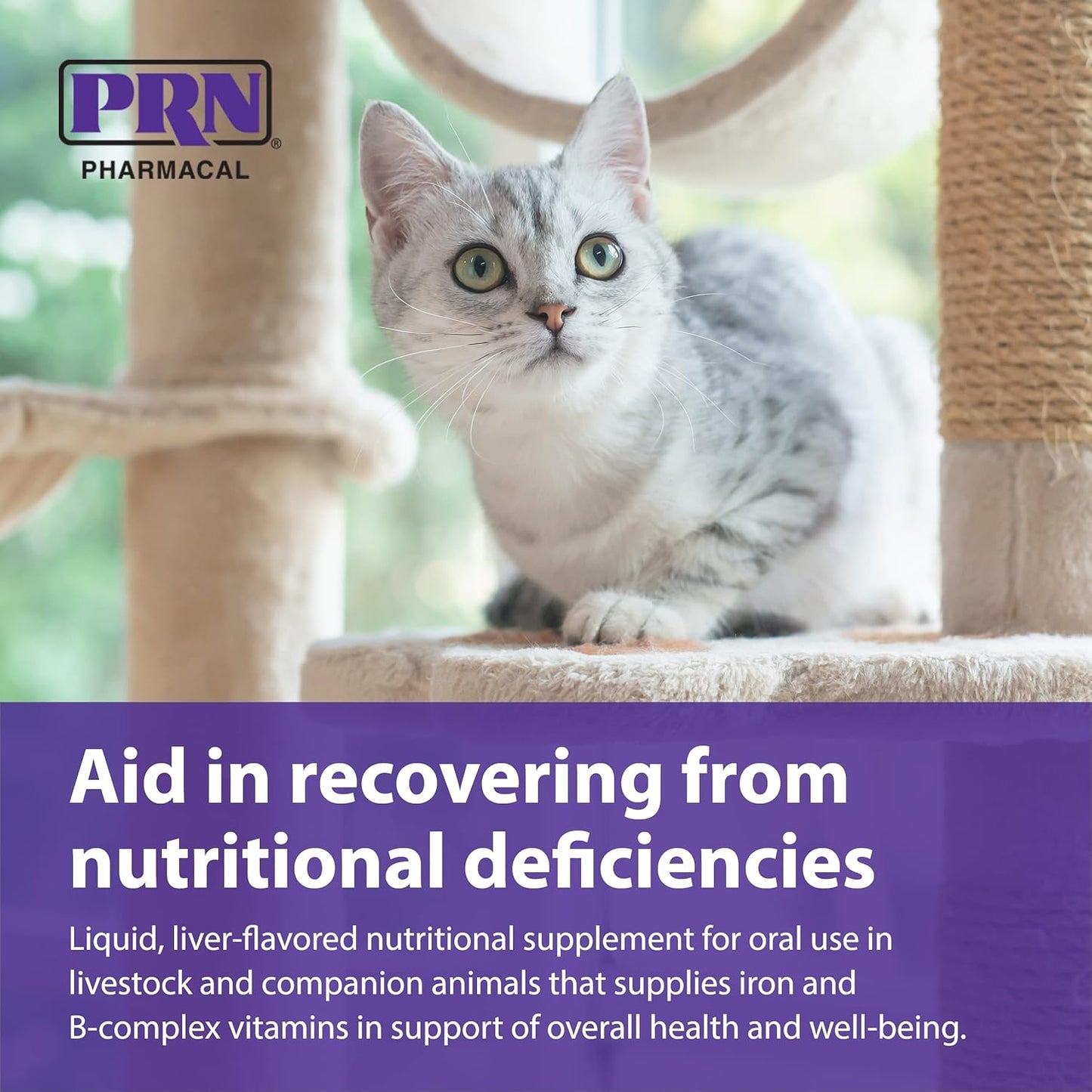 Liver-Flavored Pet Nutritional Supplement with Iron & B-Complex Vitamins - 2 fl oz (3 Pack) by PRN Pharmacal