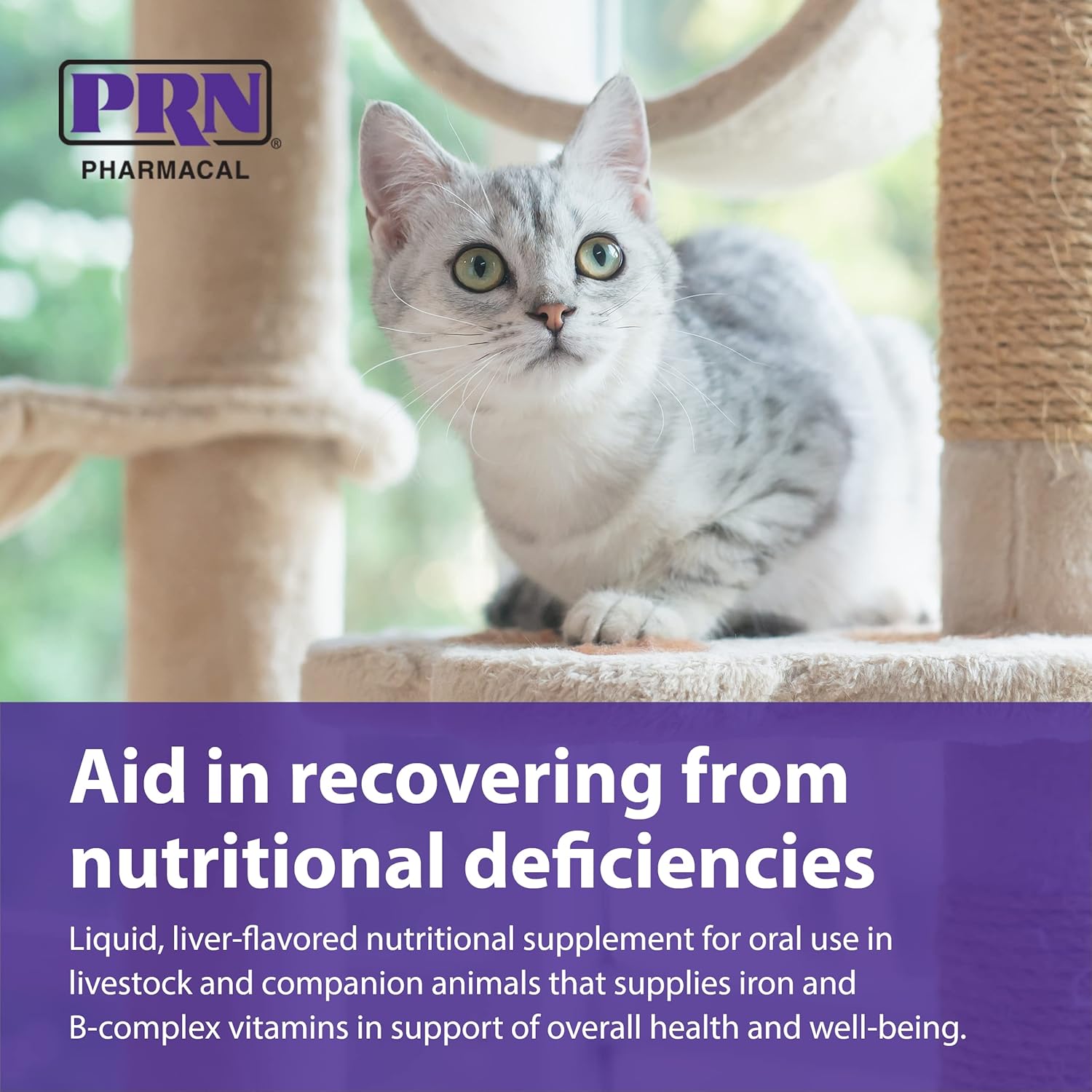 Liver-Flavored Pet Nutritional Supplement with Iron & B-Complex Vitamins - 2 fl oz (3 Pack) by PRN Pharmacal