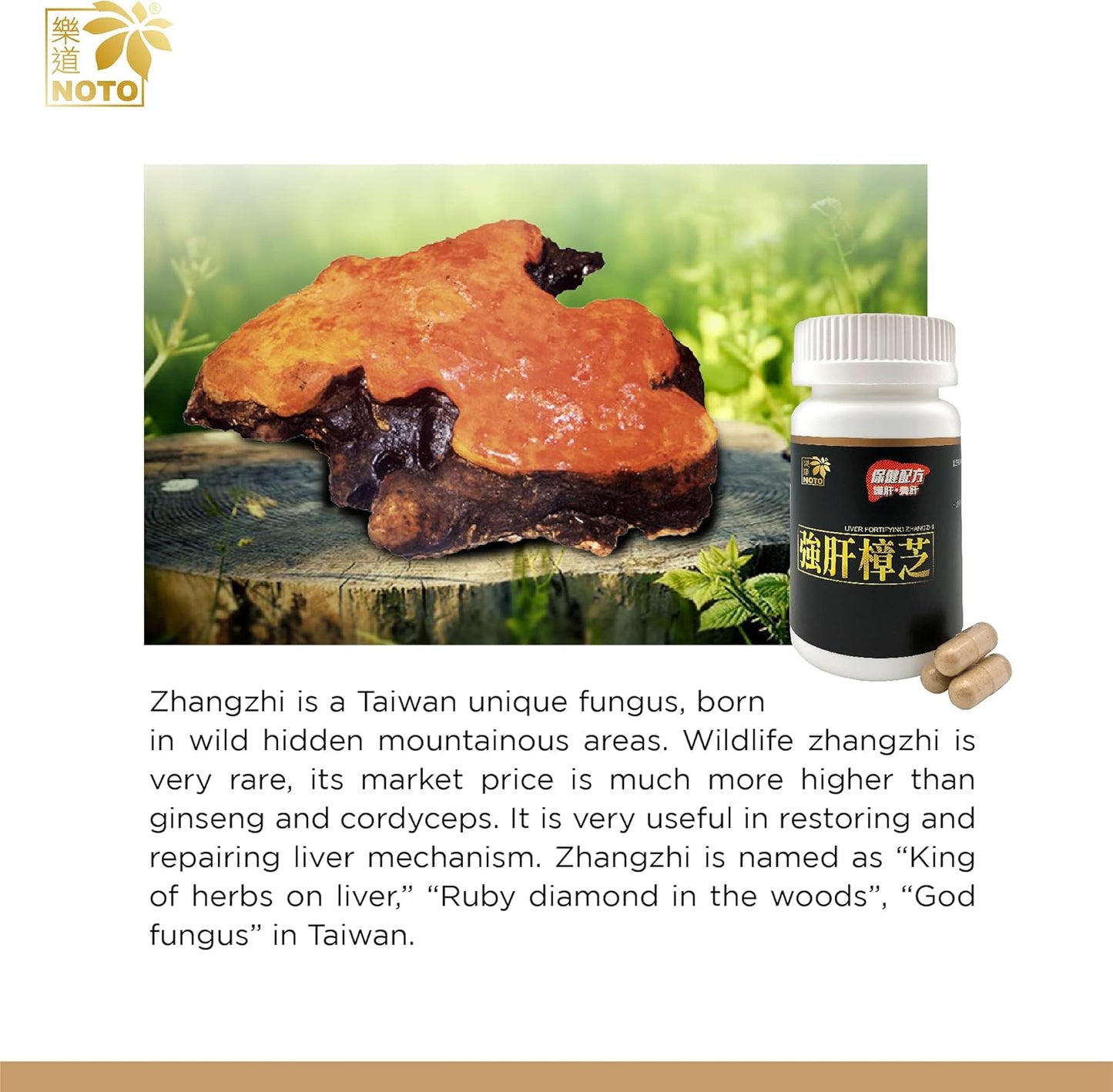 Liver Fortifying Supplement for Alcohol Damage & Unhealthy Habits - 60 Capsules, Supports Health Repair & Cleansing