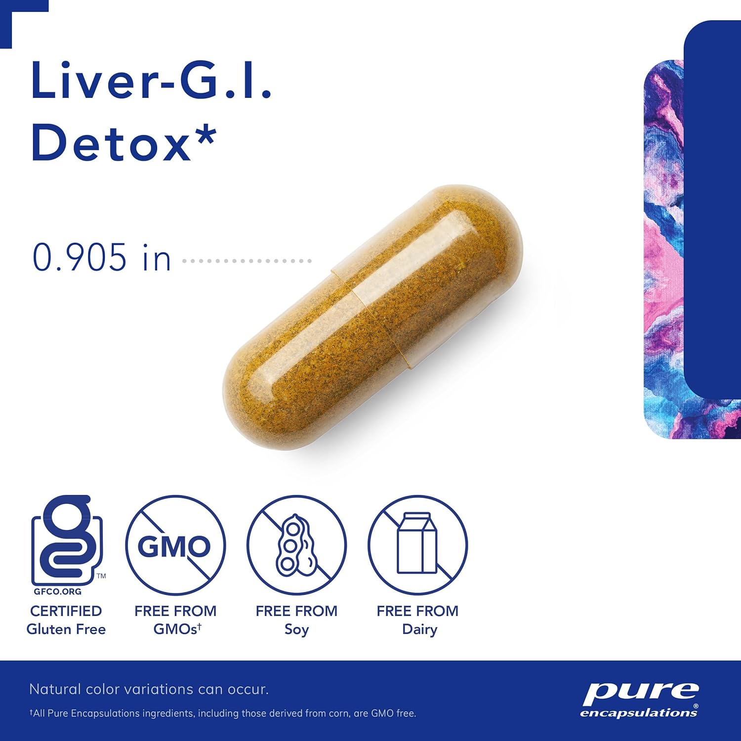 Liver-G.I. Detox Capsules with Alpha Lipoic Acid & Curcumin Extract - Gluten Free & Non-GMO - 60 Count