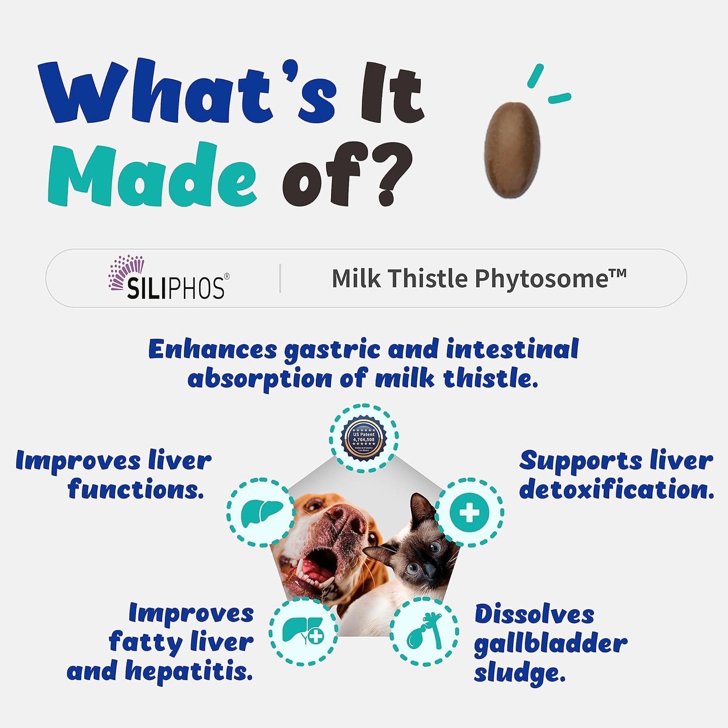 Liver Support Supplement for Dogs and Cats - Promotes Healthy Liver Function, Detox, and Metabolism - Vegan Bacon Flavor - 100 Soft Capsules