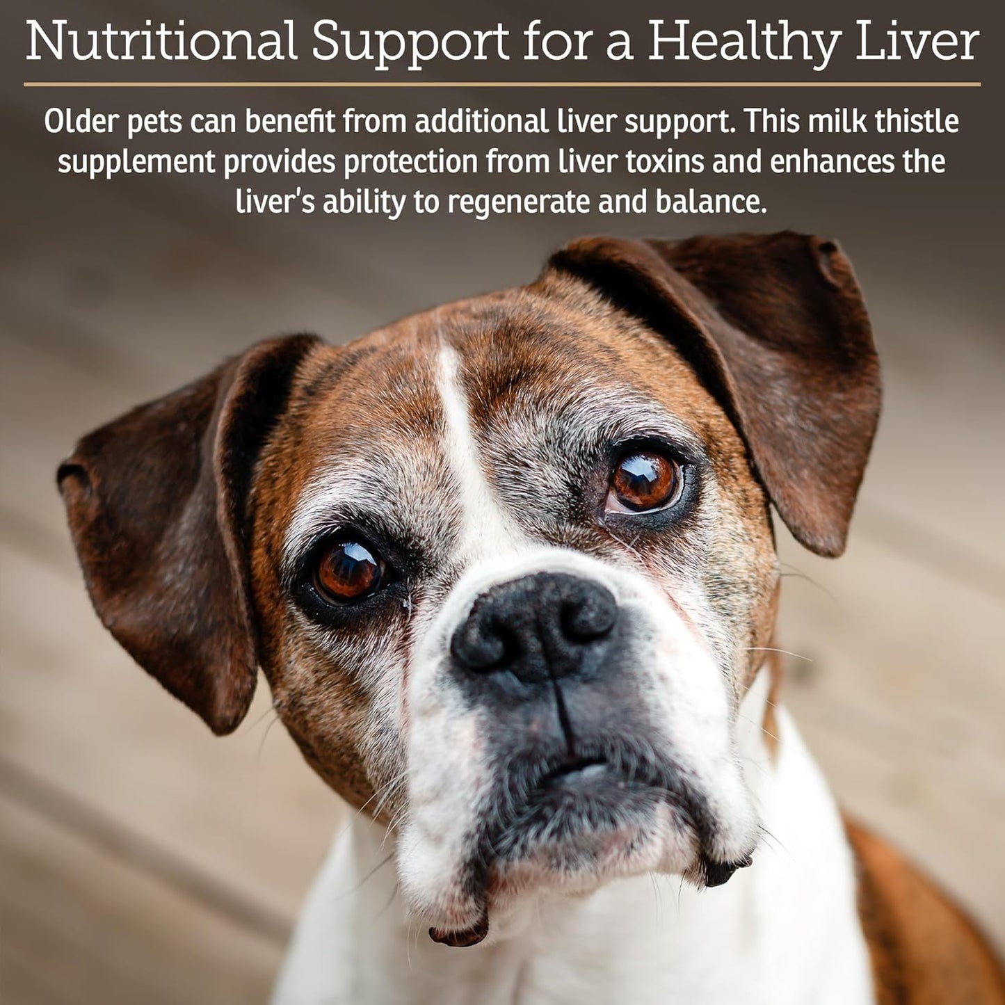 Liver Support Supplement for Dogs & Cats with Milk Thistle - Hepatic Health for Pets - Vitamin B Complex Enriched - 180 Capsules