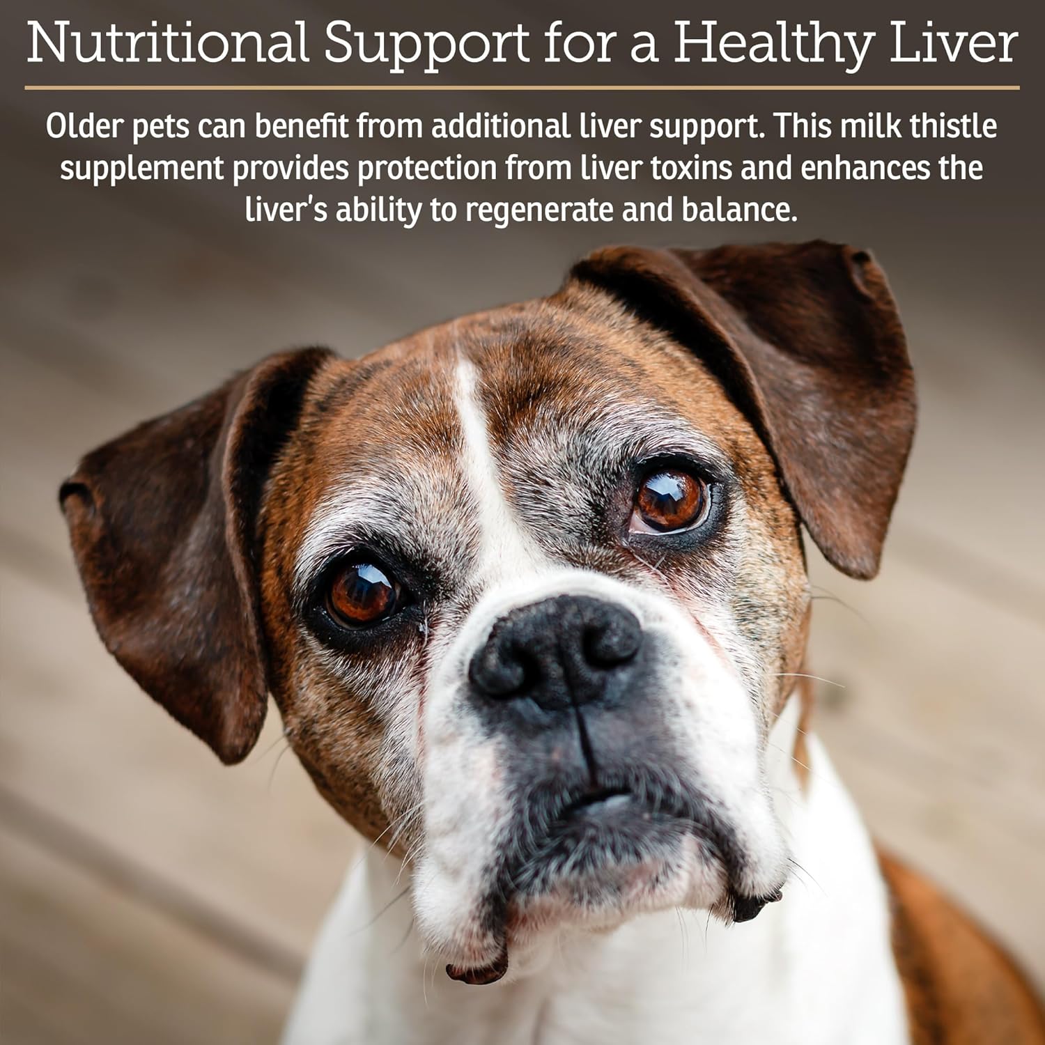Liver Support Supplement for Dogs & Cats with Milk Thistle - Hepatic Health for Pets - Vitamin B Complex Enriched - 180 Capsules
