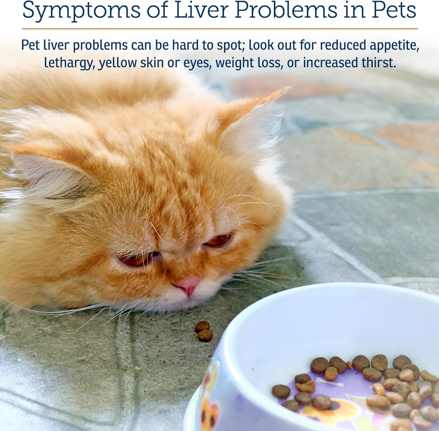 Liver Support Supplement for Dogs & Cats with Milk Thistle - Hepatic Health for Pets - Vitamin B Complex Enriched - 180 Capsules